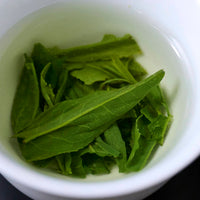 NEW【 鹿児島 霧島 あさつゆ 】我逢(がほう)煎茶 / 40g