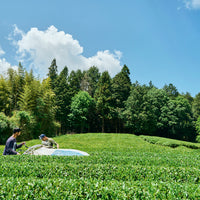 生産者と喫む会 【TEA FACTORY GEN】