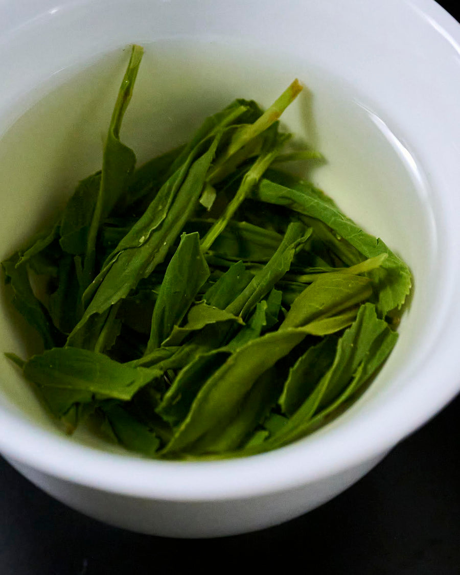 [Kagoshima Kirishima Yabukita] (Gaho) Sencha / 40g