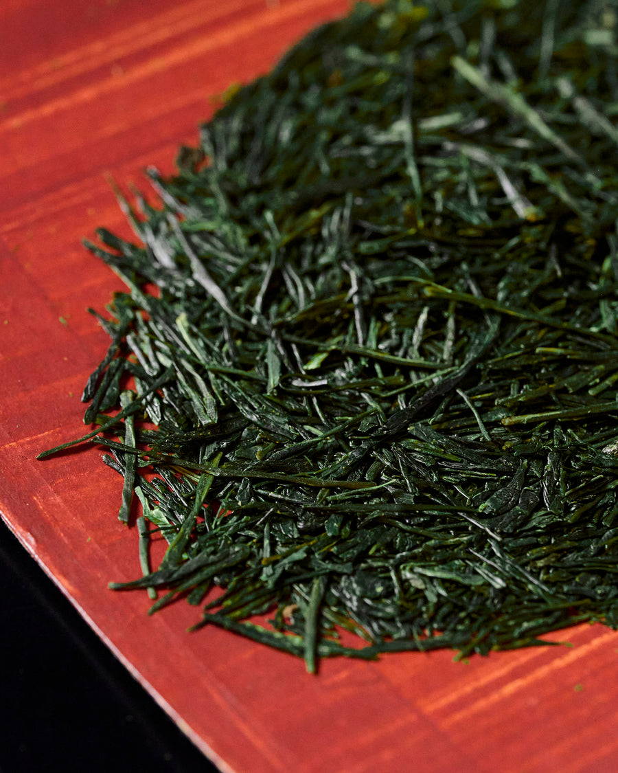 ＜2025新茶＞【 京都 南山城村 純煎茶やぶきた 】/ 60g