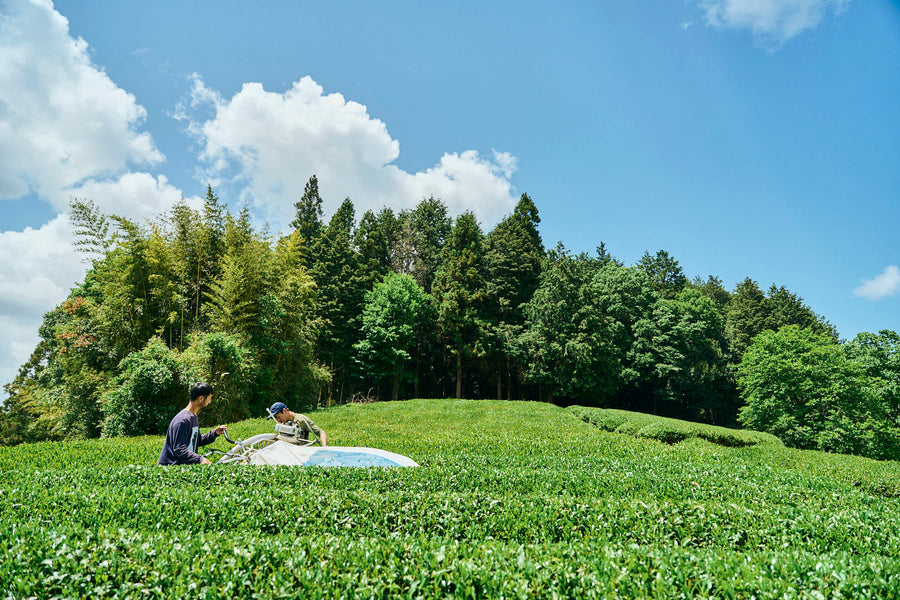 生産者と喫む会 【TEA FACTORY GEN】