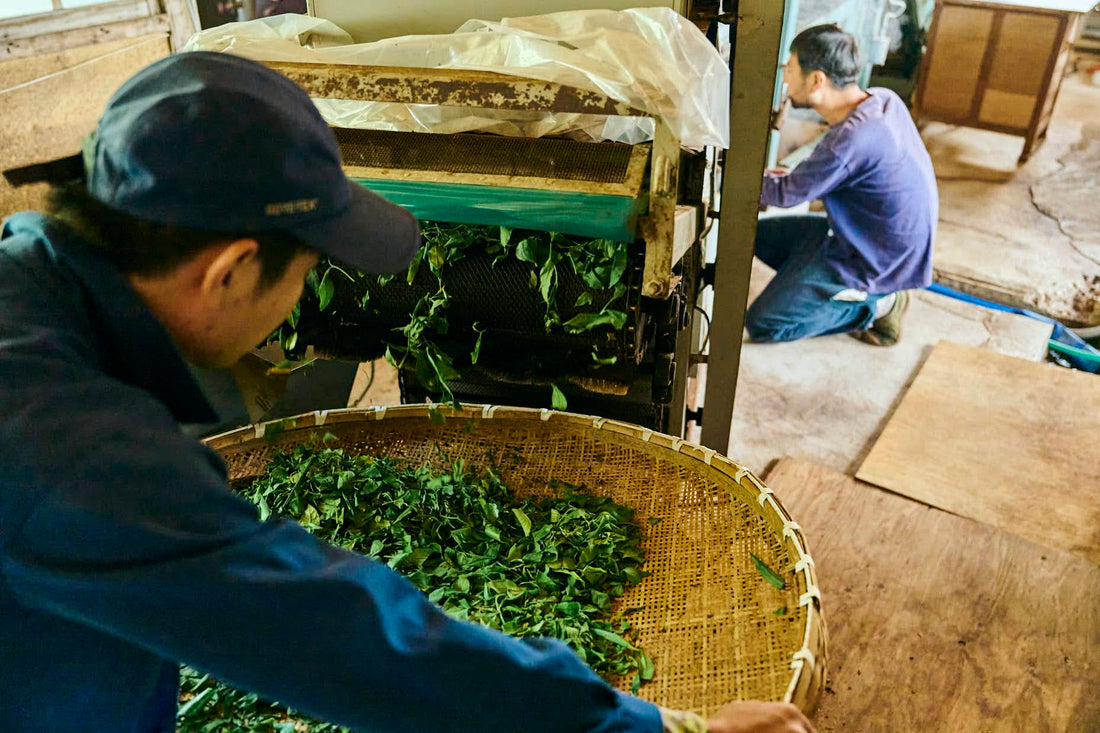 生産者と喫む会 【TEA FACTORY GEN】